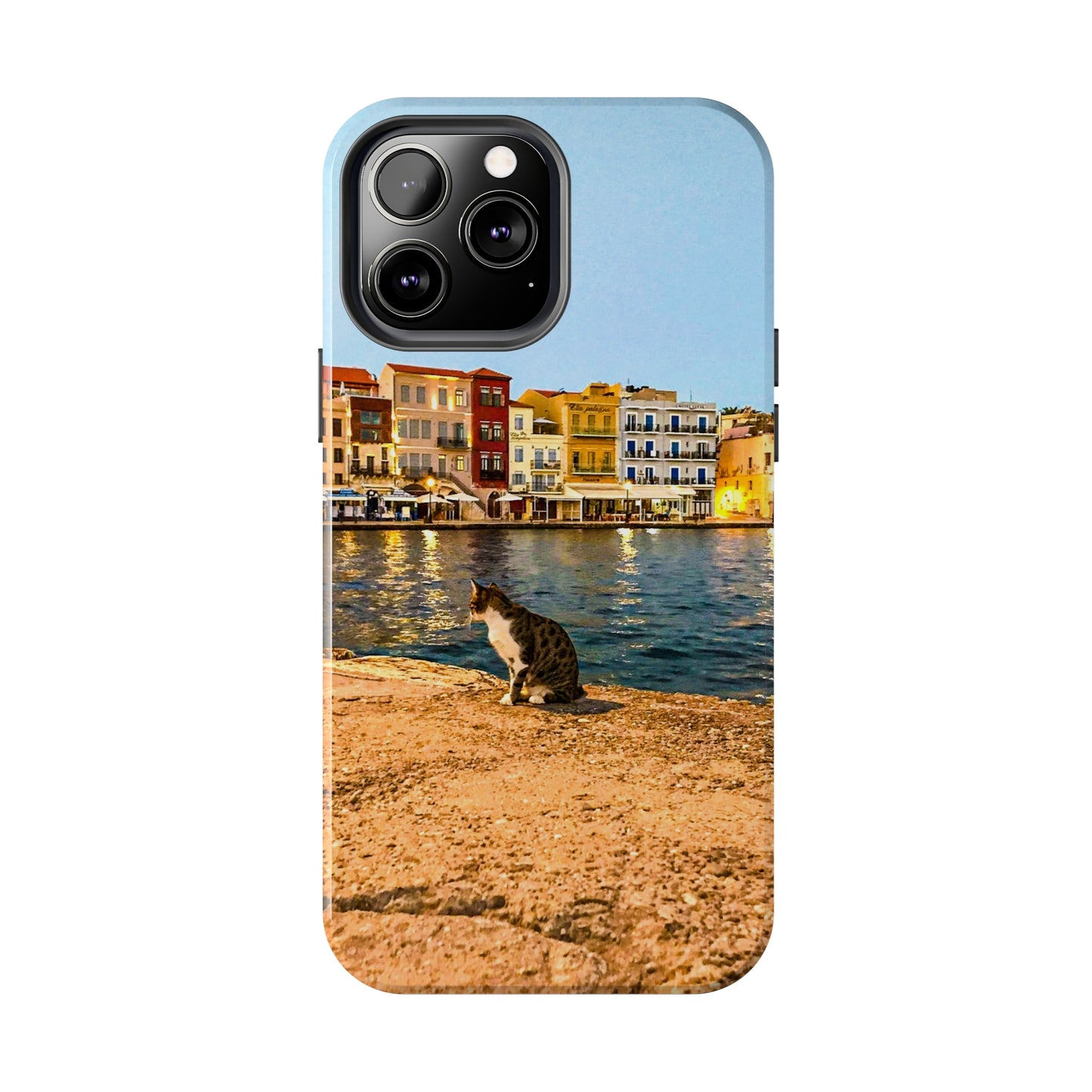 Crete Port Kitty Explorer Tough Phone Case