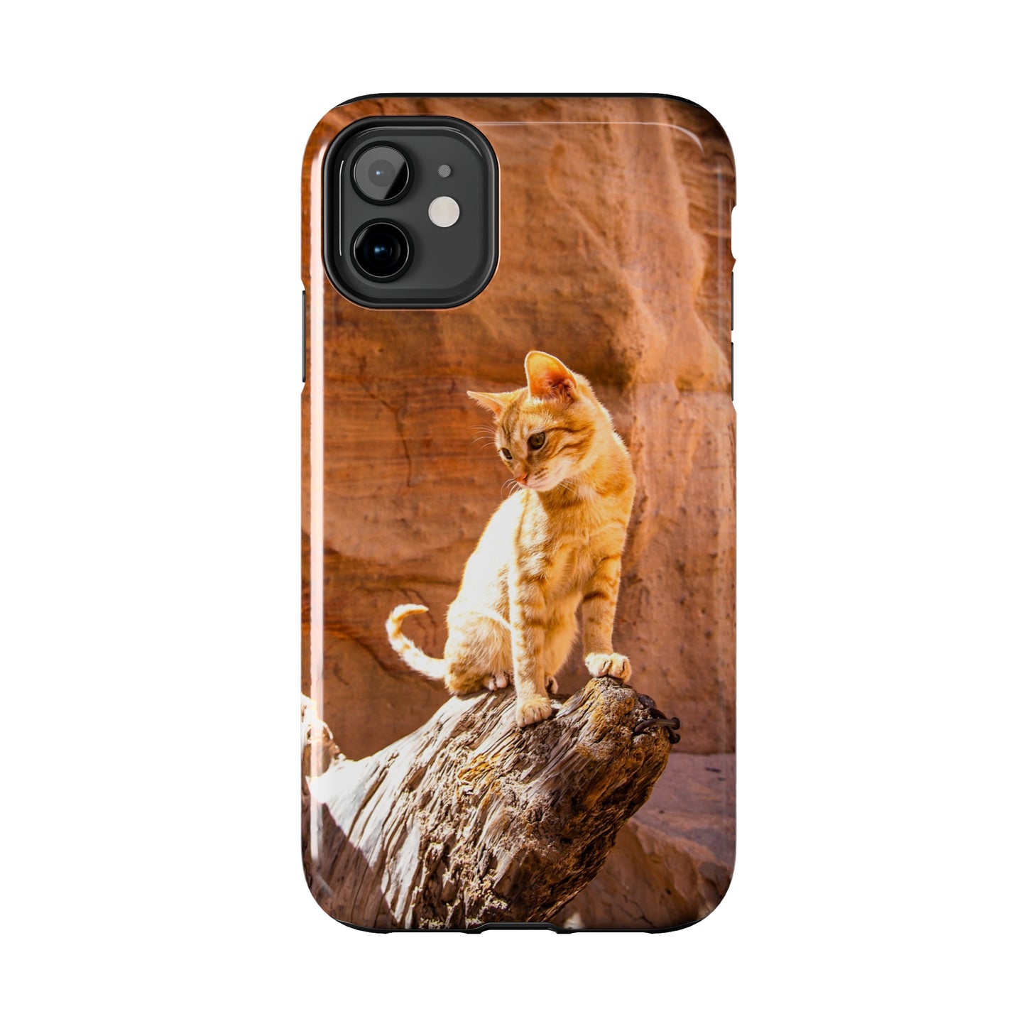 Petra Explorer Kitty Tough Phone Case