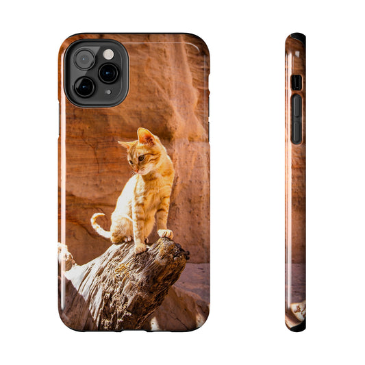 Petra Explorer Kitty Tough Phone Case