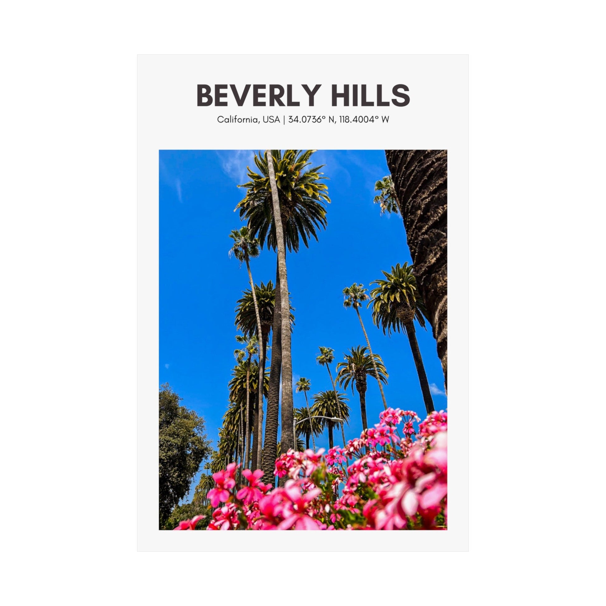 Beverly Hills Palm Trees Vertical Poster - SOLO SOHI Travel Shop