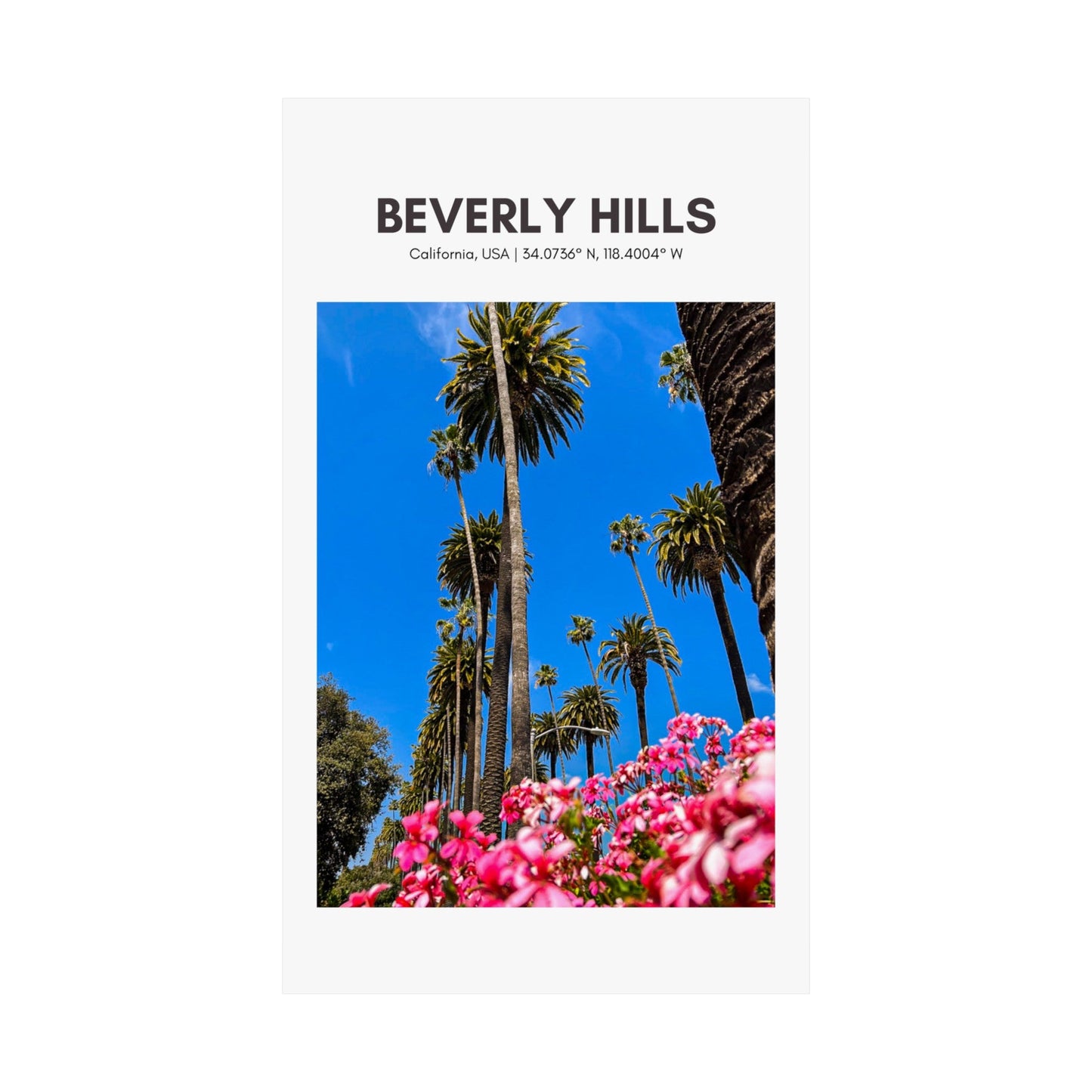 Beverly Hills Palm Trees Vertical Poster - SOLO SOHI Travel Shop