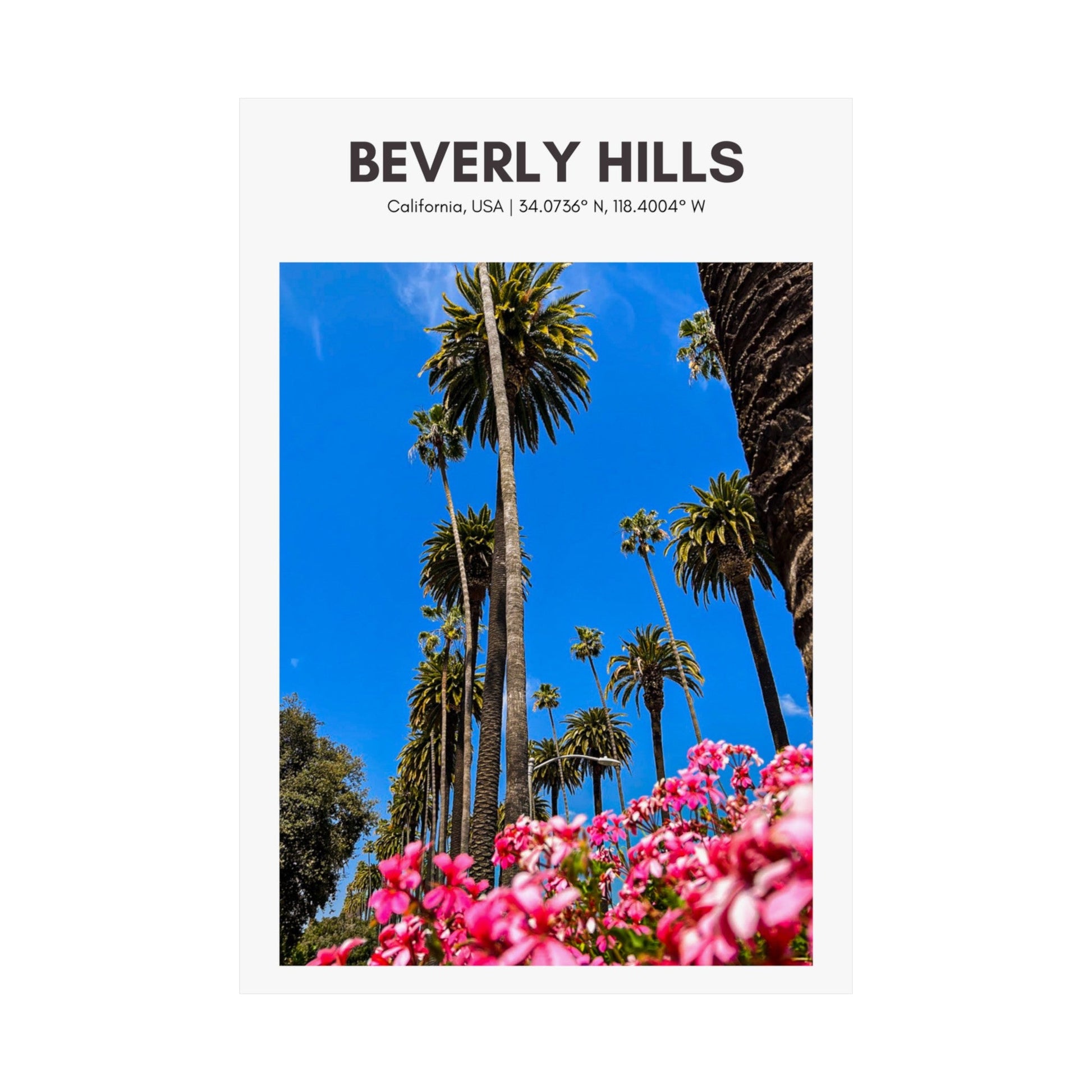 Beverly Hills Palm Trees Vertical Poster - SOLO SOHI Travel Shop