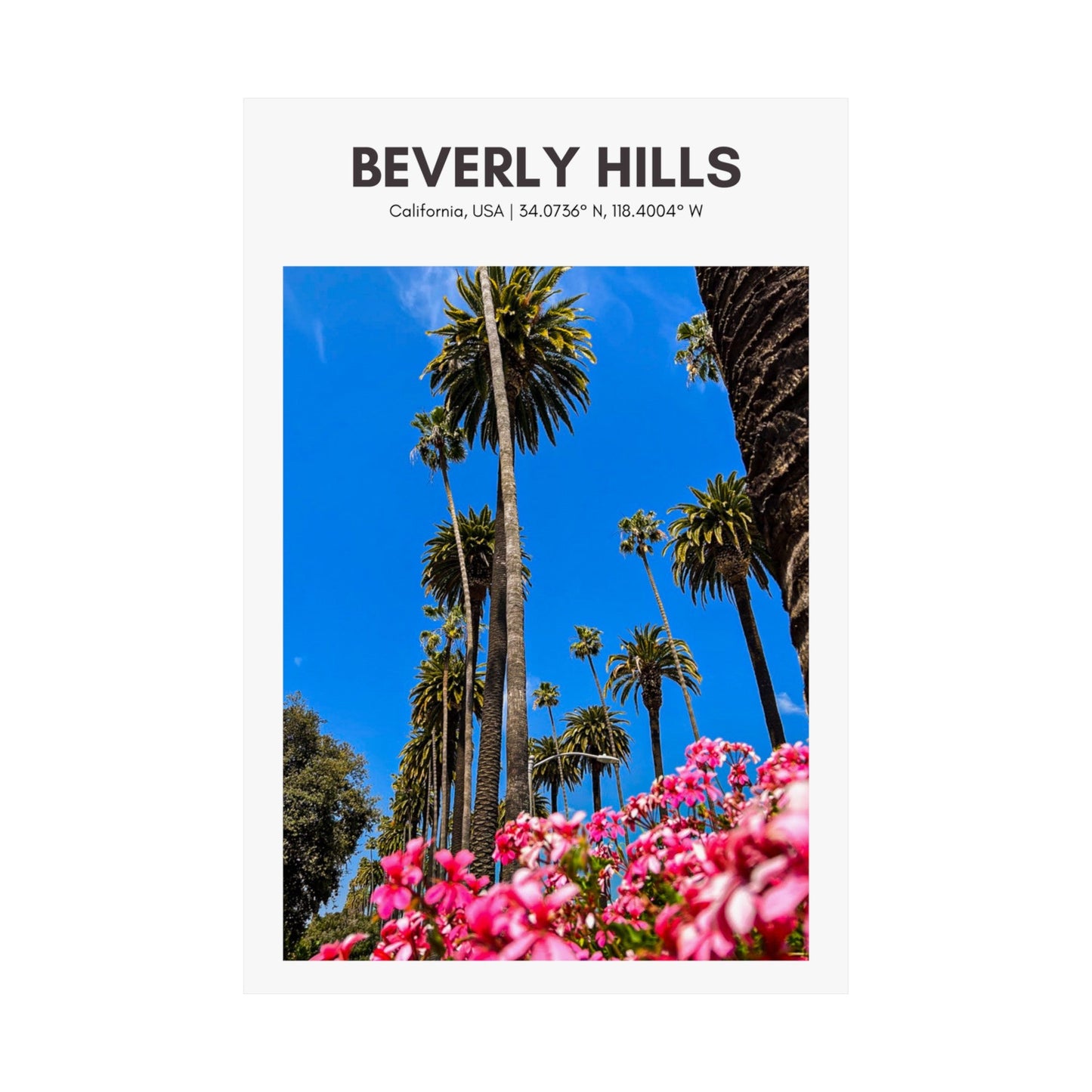 Beverly Hills Palm Trees Vertical Poster - SOLO SOHI Travel Shop