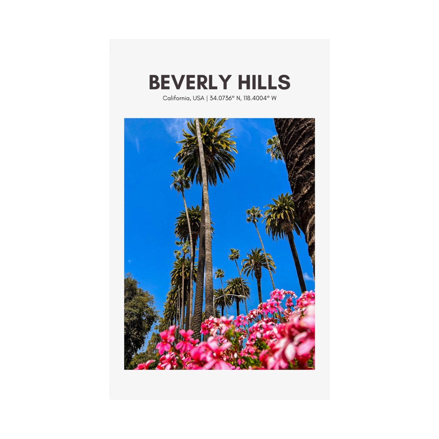 Beverly Hills Palm Trees Vertical Poster - SOLO SOHI Travel Shop