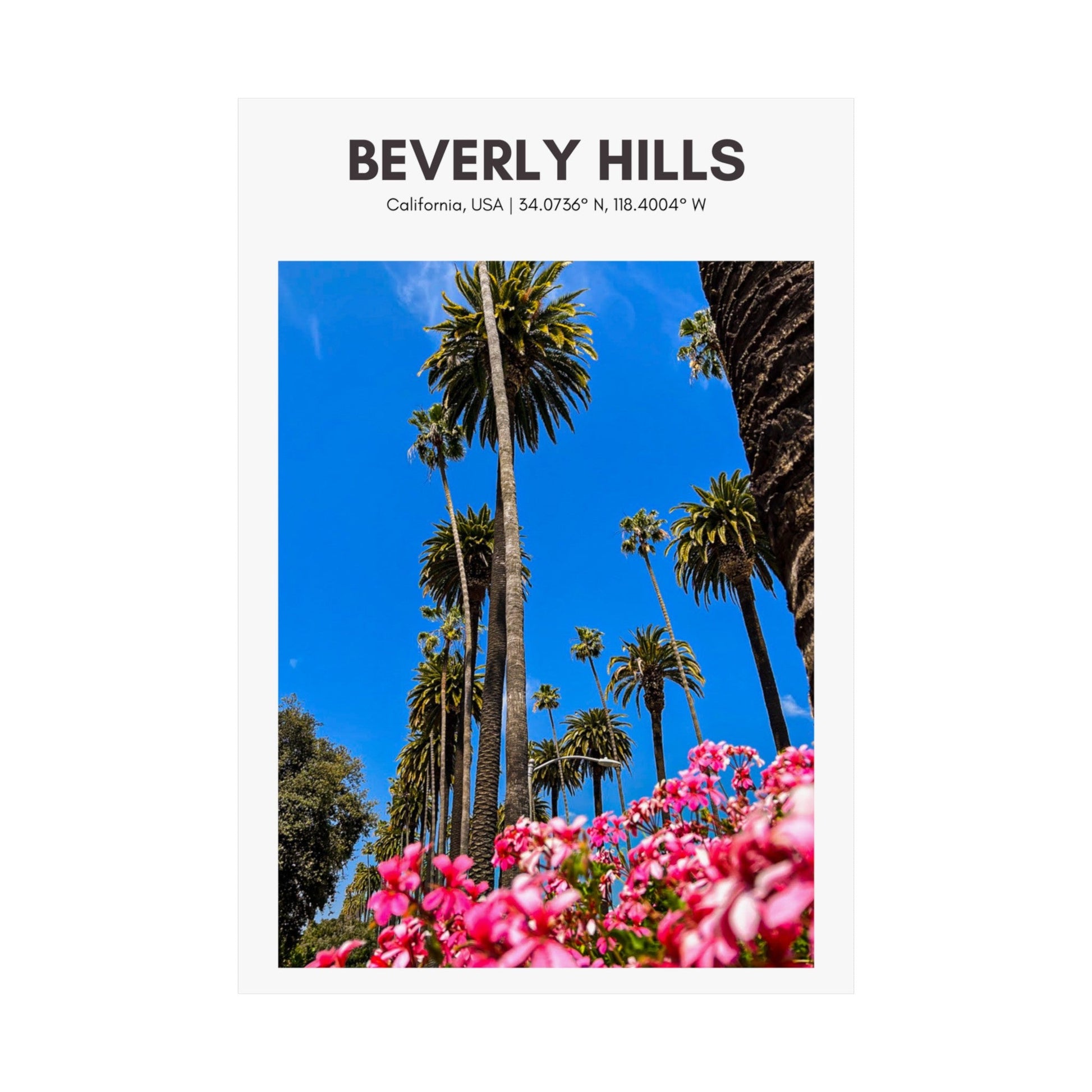 Beverly Hills Palm Trees Vertical Poster - SOLO SOHI Travel Shop