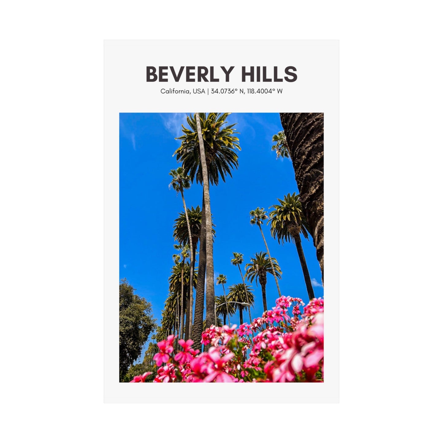 Beverly Hills Palm Trees Vertical Poster - SOLO SOHI Travel Shop