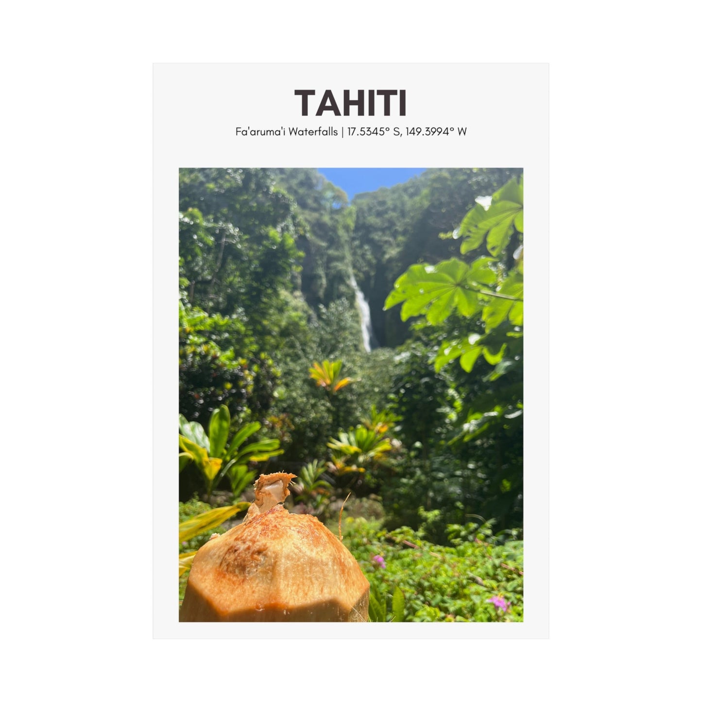 Tahiti Waterfall Vertical Poster - SOLO SOHI Travel Shop